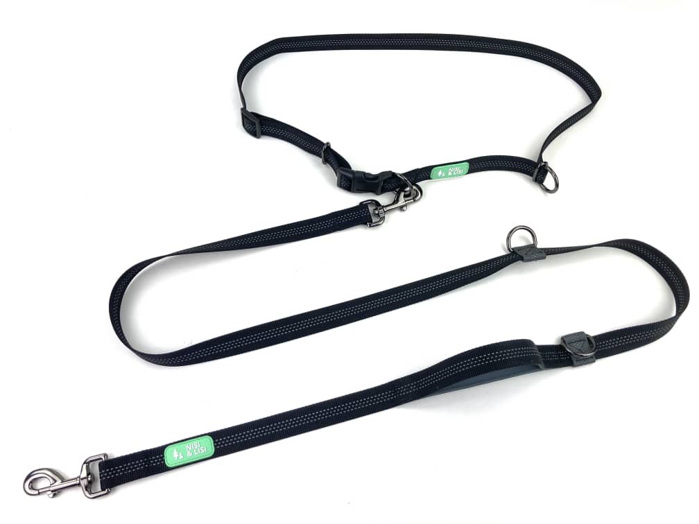 Hands Free Training Leash Grey