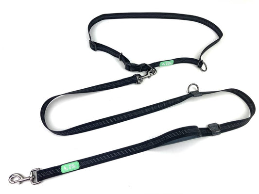 Hands Free Training Leash Grey
